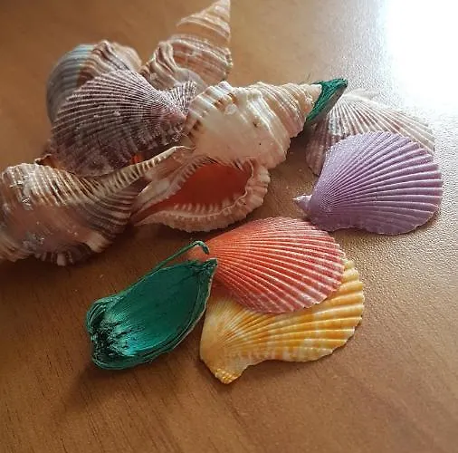 Appartamento Sea View